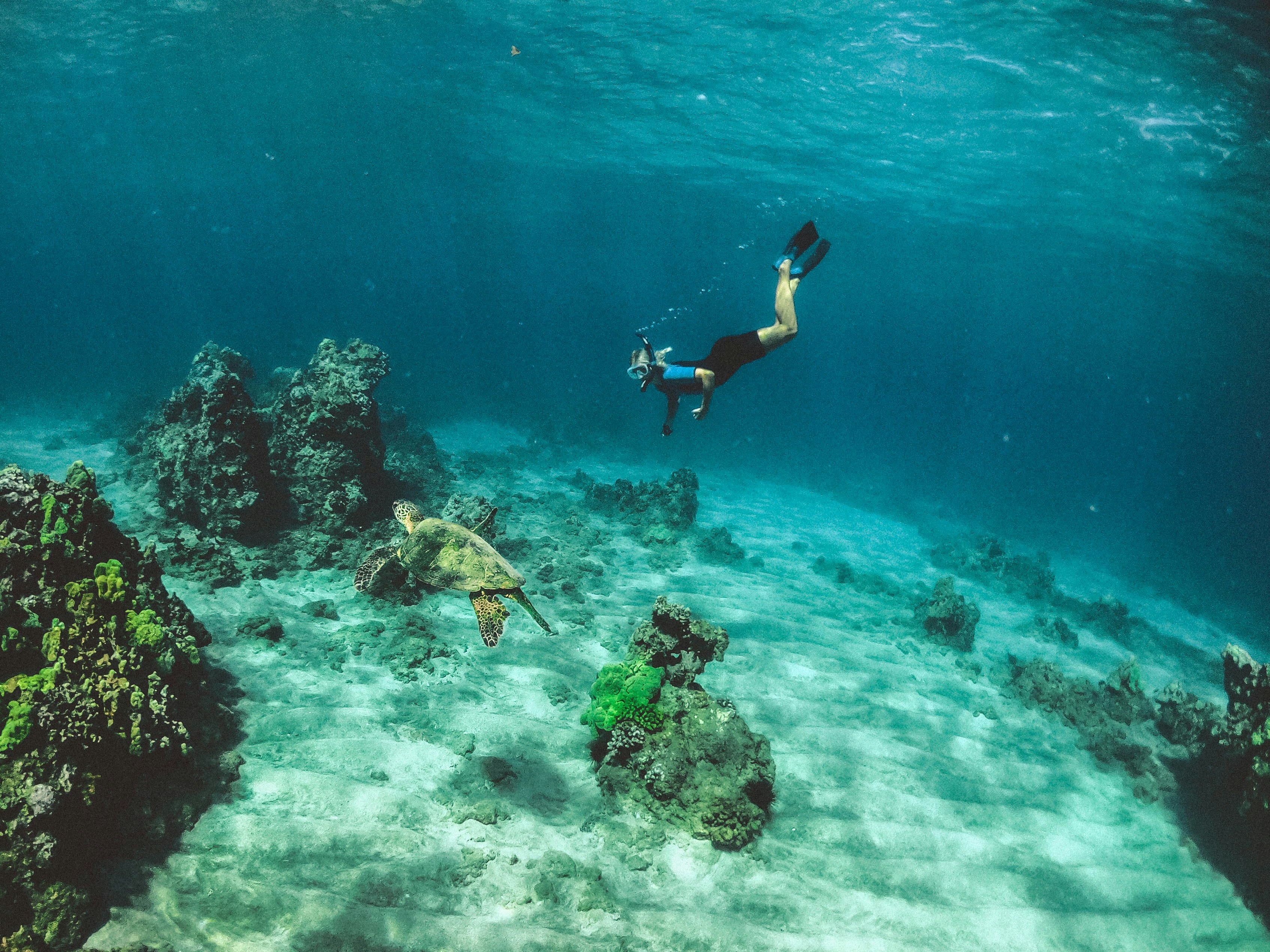 Turquoise lagoon at Watamu Marine Park